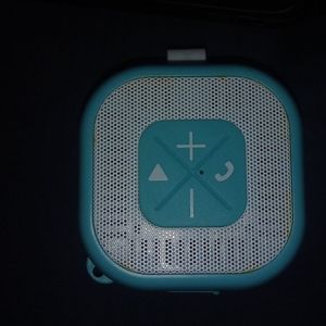 Shower speaker